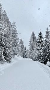 Preview wallpaper forest, winter, snow, snowy, road