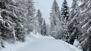 Preview wallpaper forest, winter, snow, snowy, road