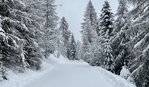 Preview wallpaper forest, winter, snow, snowy, road