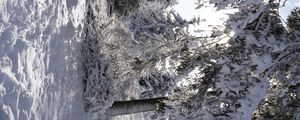 Preview wallpaper forest, winter, snow, trees, white, landscape, nature