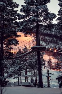 Preview wallpaper forest, winter, snow, structure, sunset