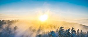 Preview wallpaper forest, winter, sun, snow, trees, landscape, nature