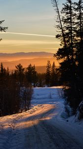 Preview wallpaper forest, winter, sunset, road, trees, sky