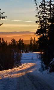 Preview wallpaper forest, winter, sunset, road, trees, sky