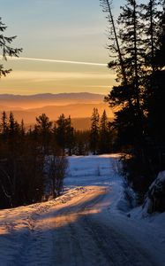 Preview wallpaper forest, winter, sunset, road, trees, sky