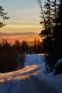 Preview wallpaper forest, winter, sunset, road, trees, sky