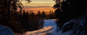 Preview wallpaper forest, winter, sunset, road, trees, sky