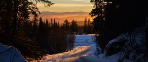 Preview wallpaper forest, winter, sunset, road, trees, sky