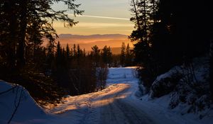 Preview wallpaper forest, winter, sunset, road, trees, sky