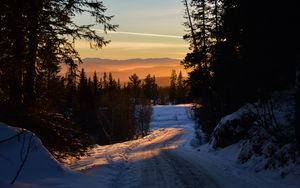 Preview wallpaper forest, winter, sunset, road, trees, sky