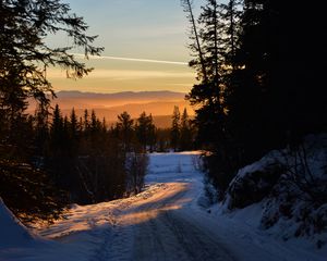 Preview wallpaper forest, winter, sunset, road, trees, sky