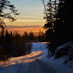 Preview wallpaper forest, winter, sunset, road, trees, sky