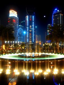 Preview wallpaper fountain, palm trees, street, lighting