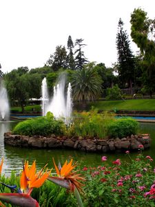 Preview wallpaper fountain, pond, garden, registration, flowers, yellow, brightly
