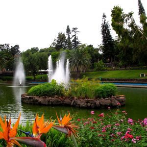 Preview wallpaper fountain, pond, garden, registration, flowers, yellow, brightly