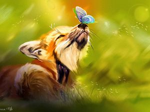 Preview wallpaper fox, butterfly, cute, animal, art