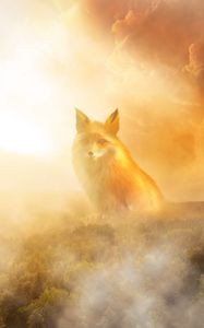 Preview wallpaper fox, fog, forest, clouds, haze