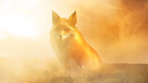 Preview wallpaper fox, fog, forest, clouds, haze