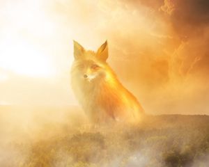Preview wallpaper fox, fog, forest, clouds, haze