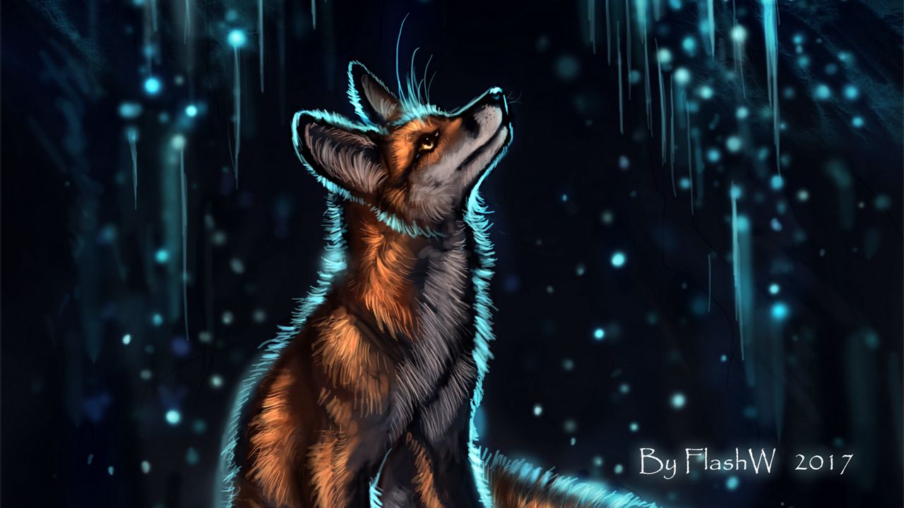 Wallpaper fox, glow, glare, art, night