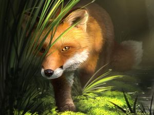 Preview wallpaper fox, grass, art, animal, wildlife