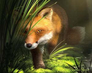 Preview wallpaper fox, grass, art, animal, wildlife