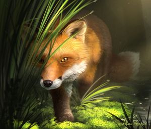 Preview wallpaper fox, grass, art, animal, wildlife