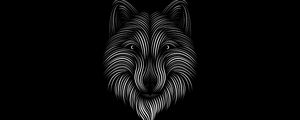 Preview wallpaper fox, line, art, bw