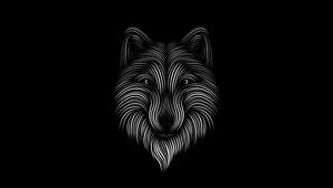 Preview wallpaper fox, line, art, bw