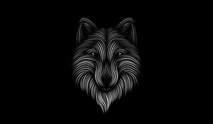 Preview wallpaper fox, line, art, bw