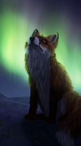 Preview wallpaper fox, northern lights, night, dark, art