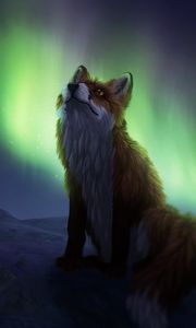 Preview wallpaper fox, northern lights, night, dark, art