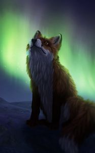 Preview wallpaper fox, northern lights, night, dark, art