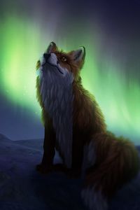 Preview wallpaper fox, northern lights, night, dark, art