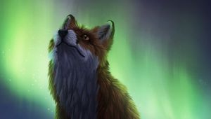 Preview wallpaper fox, northern lights, night, dark, art