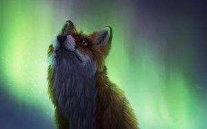 Preview wallpaper fox, northern lights, night, dark, art