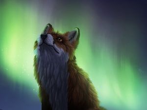 Preview wallpaper fox, northern lights, night, dark, art