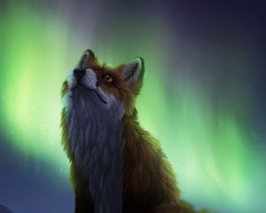 Preview wallpaper fox, northern lights, night, dark, art
