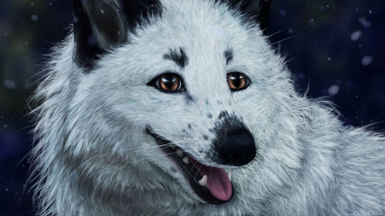 Wallpaper fox, white, protruding tongue, animal, art