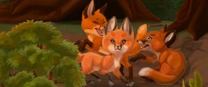 Preview wallpaper foxes, play, animals, wildlife, art