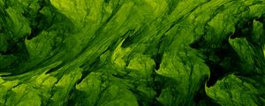 Preview wallpaper fractal, abstraction, green, shades, structure