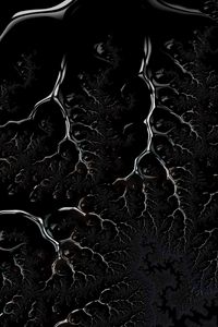 Preview wallpaper fractal, black, branched, dark, creeping