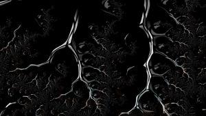 Preview wallpaper fractal, black, branched, dark, creeping