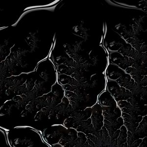 Preview wallpaper fractal, black, branched, dark, creeping