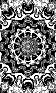 Preview wallpaper fractal, circles, lines, shapes, pattern, abstraction, black and white