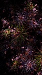 Preview wallpaper fractal, flowers, pattern, abstraction