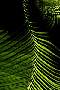 Preview wallpaper fractal, lines, winding, green, abstraction