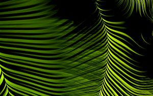 Preview wallpaper fractal, lines, winding, green, abstraction