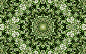 Preview wallpaper fractal, pattern, circles, shapes, abstraction, green