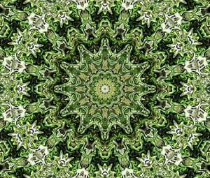 Preview wallpaper fractal, pattern, circles, shapes, abstraction, green